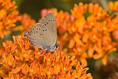 《WRC Generations》延期至11月3日发售 新预告发布